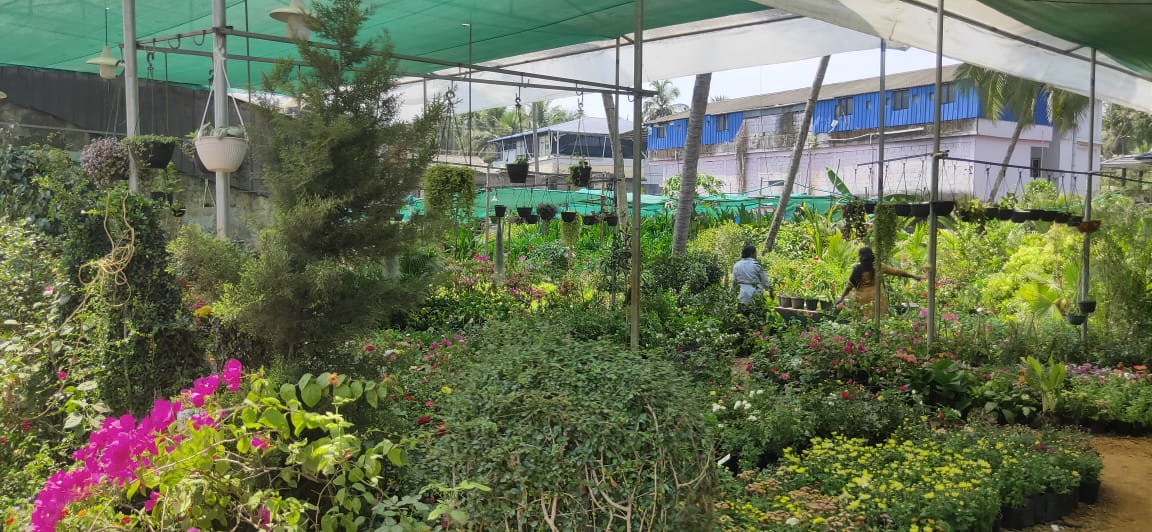 CHUNGATHARA KARSHIKA NURSERY & GARDEN SERVICE
