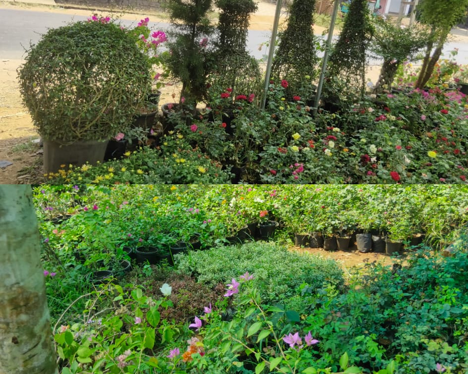 CHUNGATHARA KARSHIKA NURSERY & GARDEN SERVICE