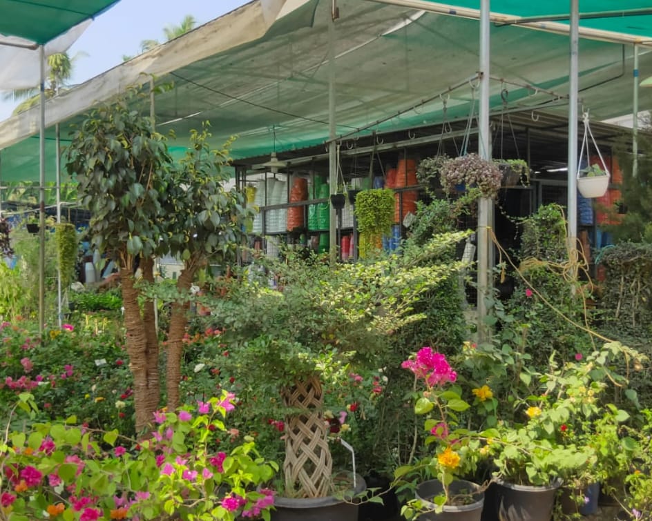 CHUNGATHARA KARSHIKA NURSERY & GARDEN SERVICE