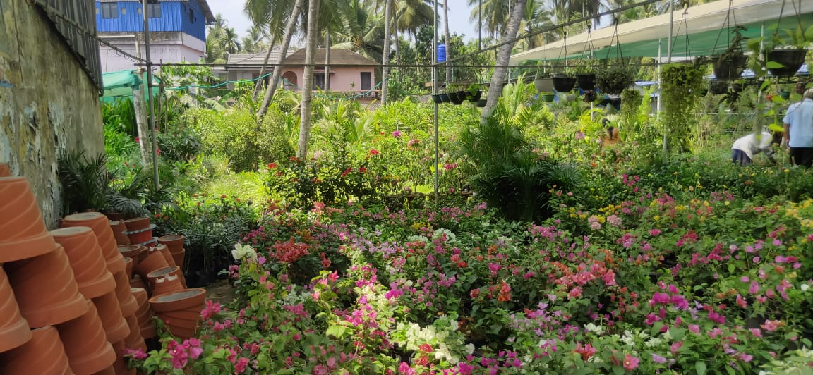 CHUNGATHARA KARSHIKA NURSERY & GARDEN SERVICE