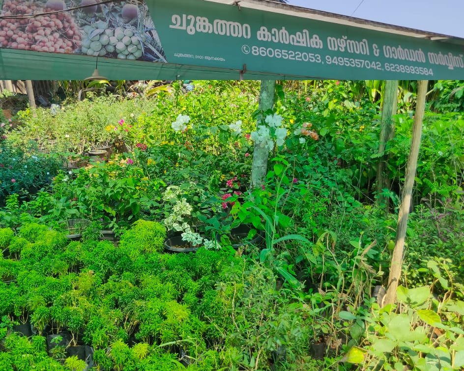 CHUNGATHARA KARSHIKA NURSERY & GARDEN SERVICE