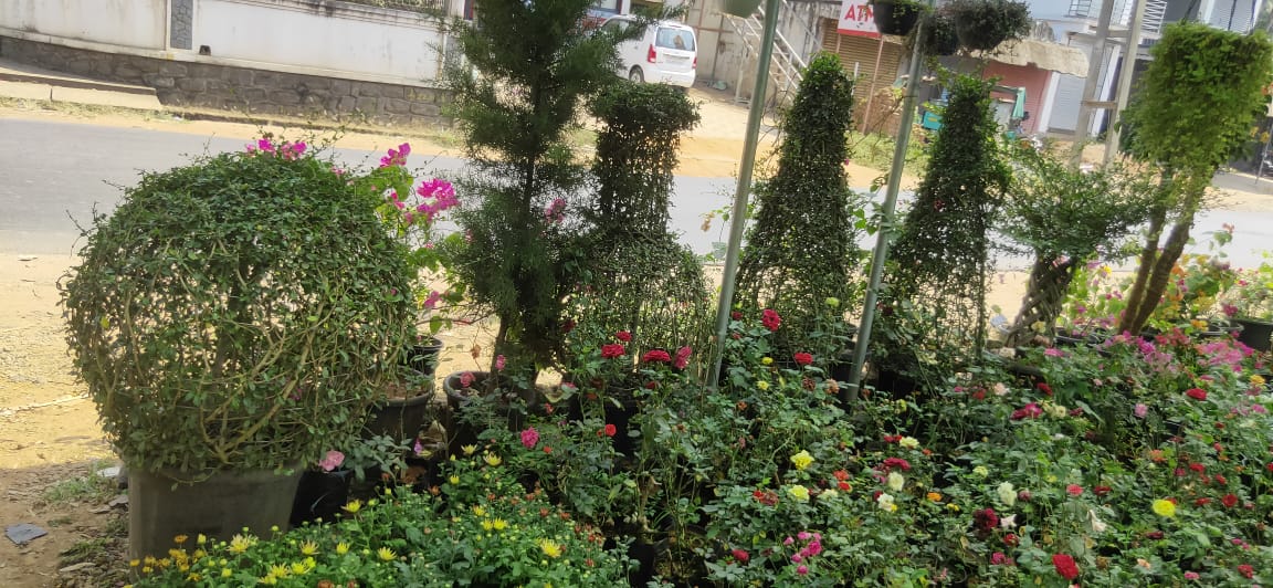 CHUNGATHARA KARSHIKA NURSERY & GARDEN SERVICE