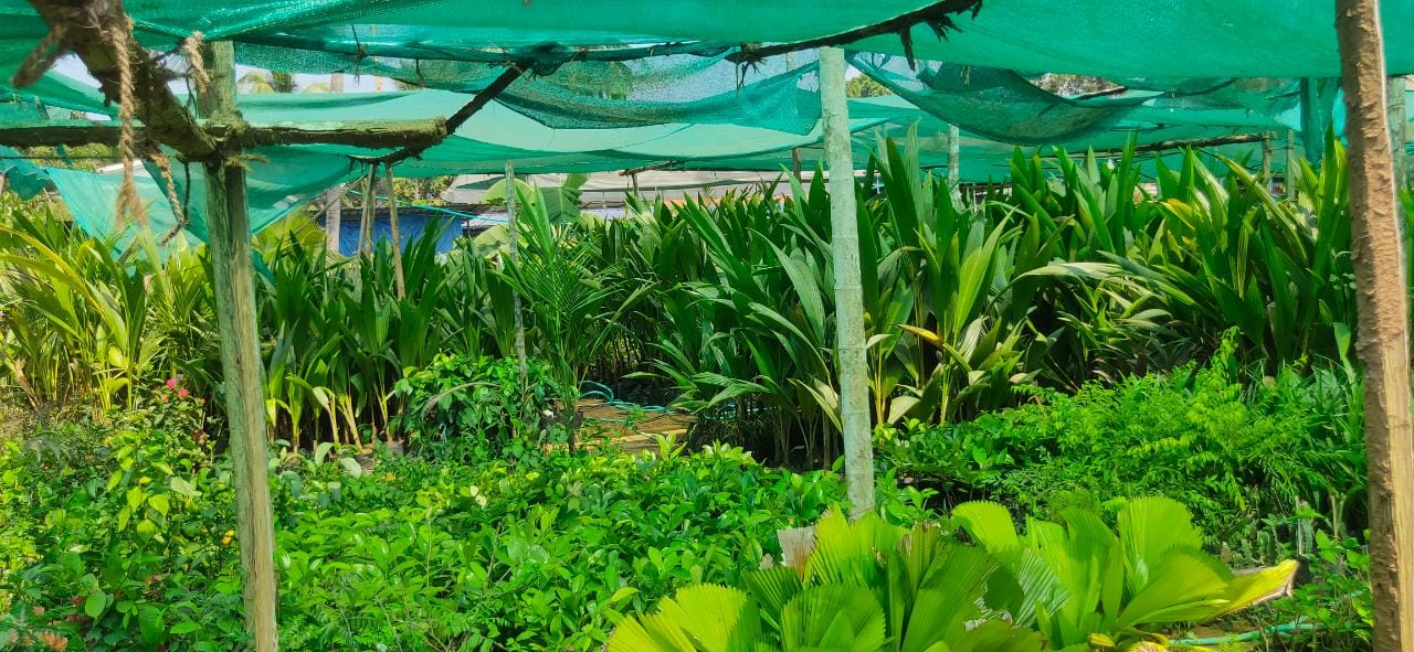 CHUNGATHARA KARSHIKA NURSERY & GARDEN SERVICE